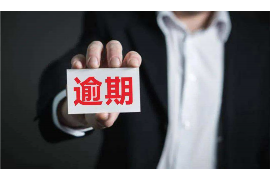 反催收斗智斗勇:揭秘债务催收背后的博弈 反催收斗智斗勇:揭秘债务催收背后的博弈