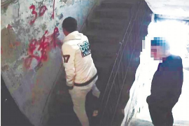 物业催收最新消息：应对策略与案例分析