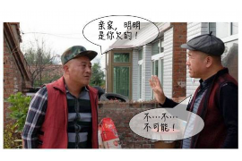 皮卡丘讨债的正确方式:动漫中的智慧与趣味 皮卡丘讨债的正确方式:动漫中的智慧与趣味